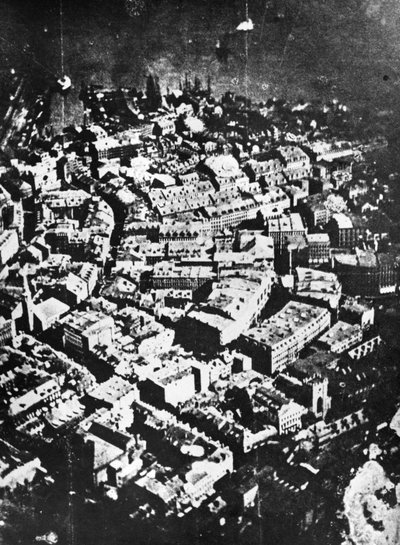 बोस्टन ईगल एंड द वाइल्ड गूज सी इट इट, 1860 के रूप में द्वारा जेम्स वालेस ब्लैक